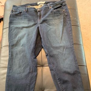 Torrid 24R Skinny Jean